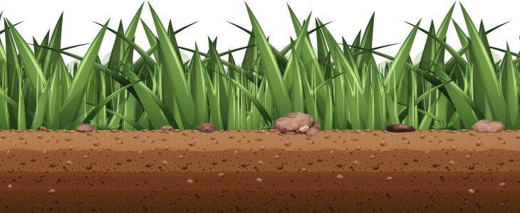 Grass Graphic